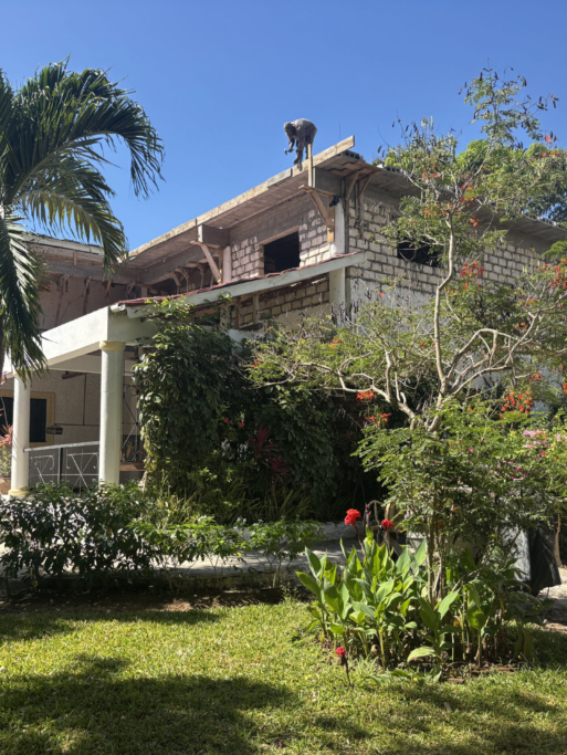 Kibokoni Renovations-01
